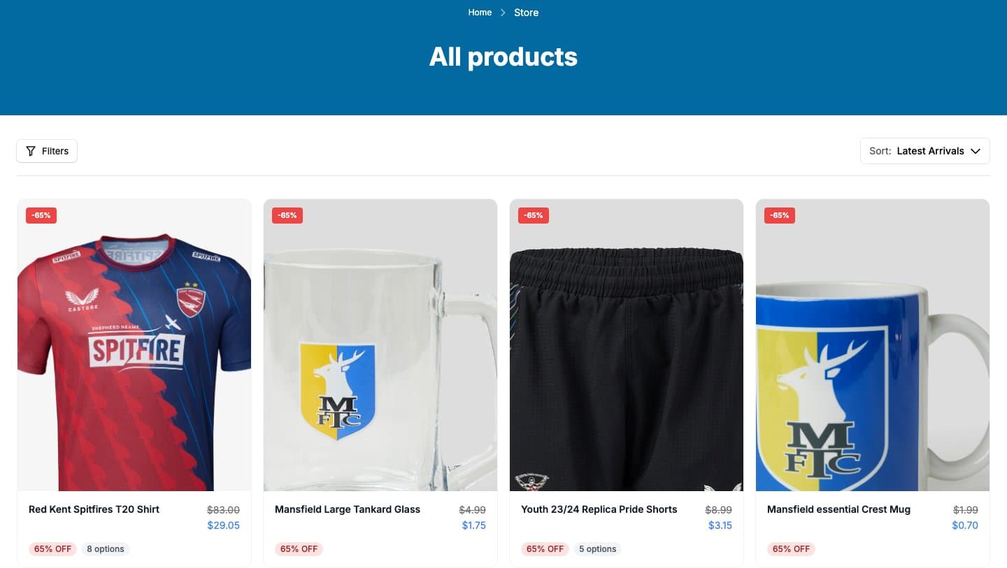 Fake Castore storefront captured by Takedown