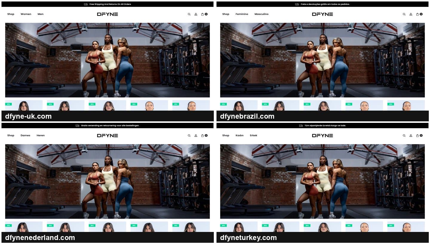 Four fake DFYNE stores with identical homepages in four languages