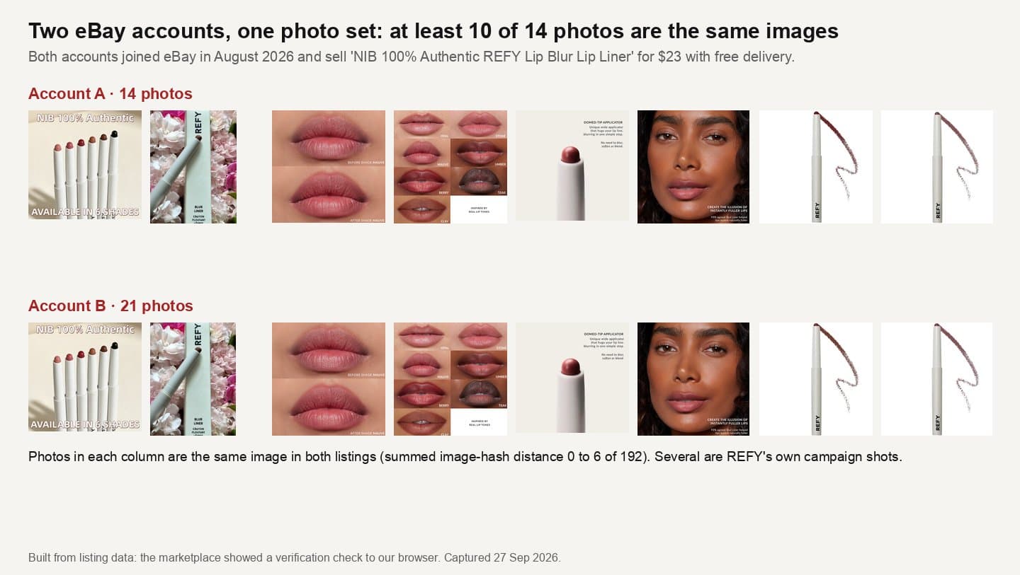 Two eBay accounts' Blur Liner listings showing the same eight photos side by side